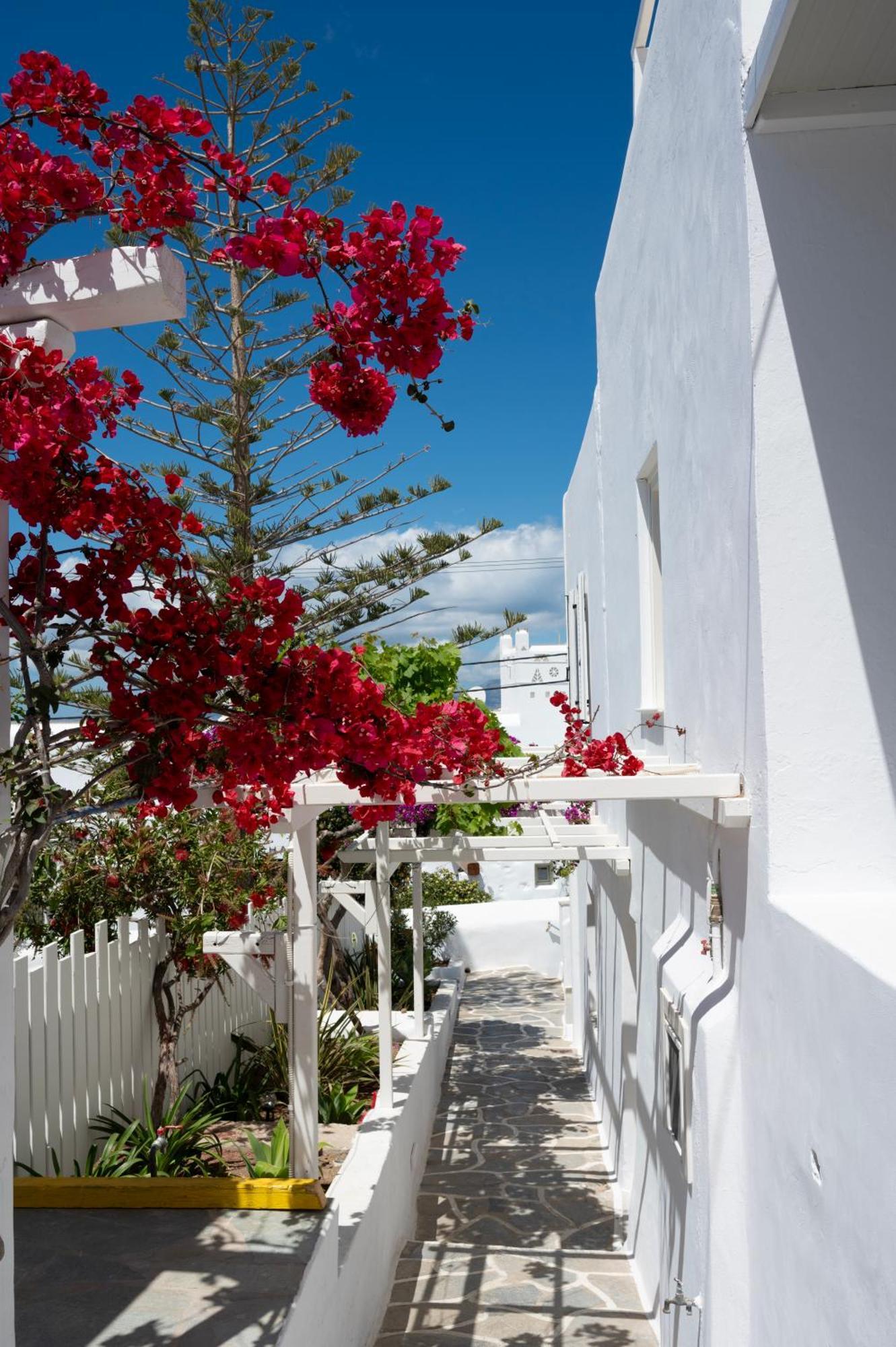 Hotel Boutique Di Vito *