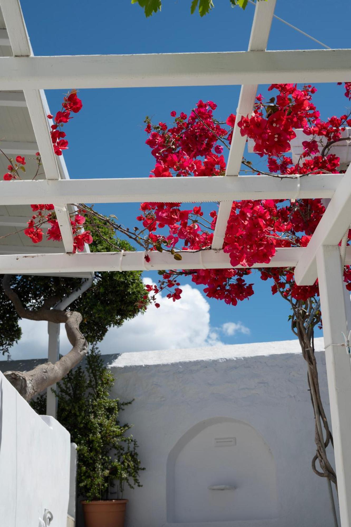 Hotel Boutique Di Vito Mykonos Town
